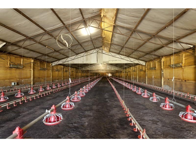 372 Gresford Road, Paterson NSW 2421