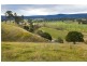 1295 Chichester Dam Road, Dungog NSW 2420
