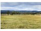 1295 Chichester Dam Road, Dungog NSW 2420