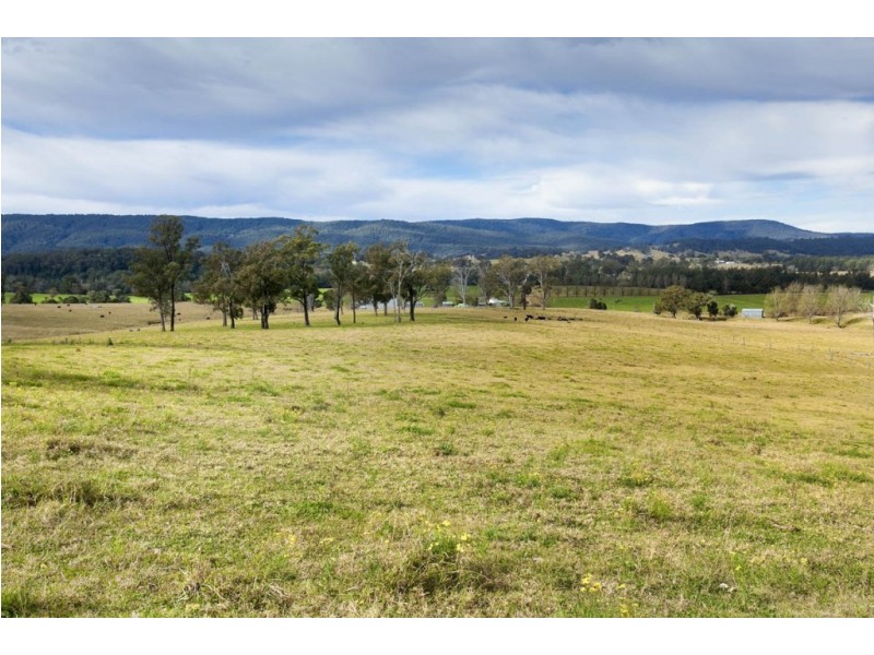 1295 Chichester Dam Road, Dungog NSW 2420