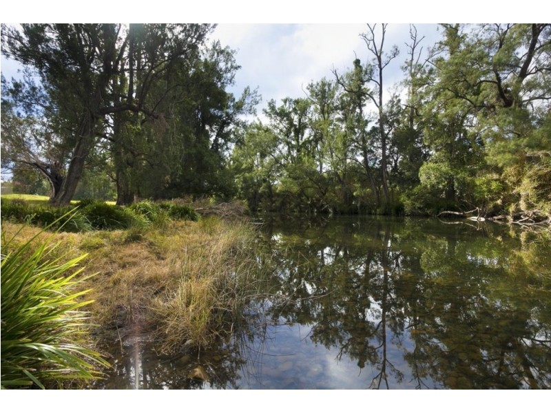 1295 Chichester Dam Road, Dungog NSW 2420