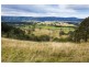 1295 Chichester Dam Road, Dungog NSW 2420