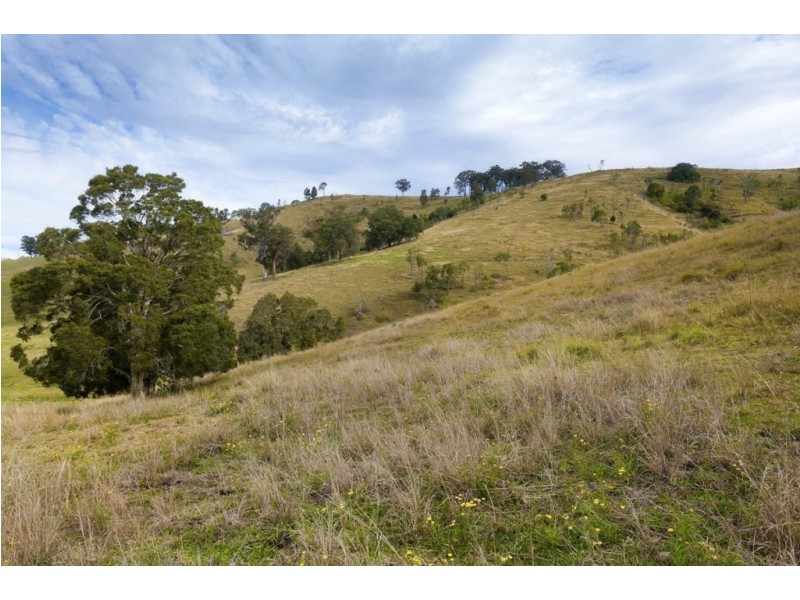 1295 Chichester Dam Road, Dungog NSW 2420