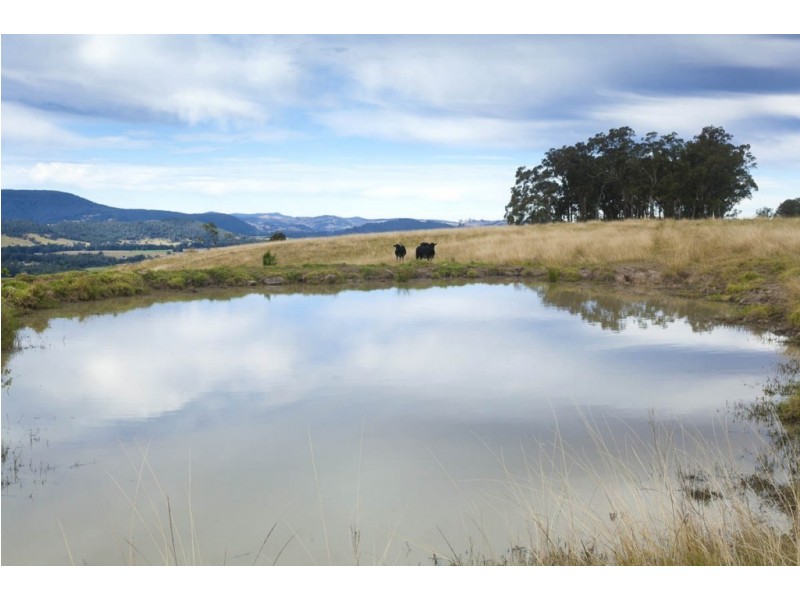 1295 Chichester Dam Road, Dungog NSW 2420