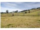 1295 Chichester Dam Road, Dungog NSW 2420