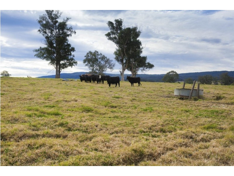 1295 Chichester Dam Road, Dungog NSW 2420