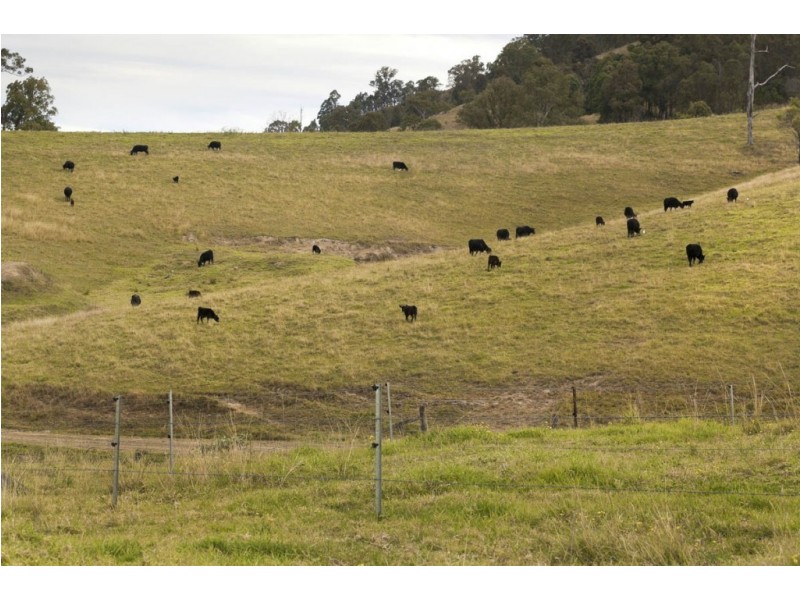 1295 Chichester Dam Road, Dungog NSW 2420