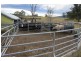 1295 Chichester Dam Road, Dungog NSW 2420