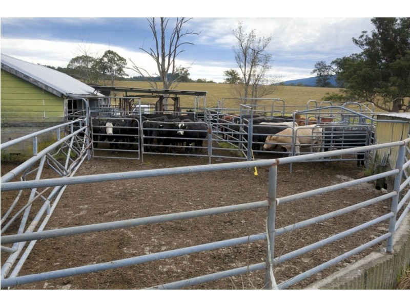 1295 Chichester Dam Road, Dungog NSW 2420