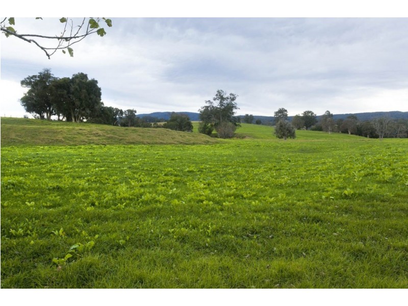 1295 Chichester Dam Road, Dungog NSW 2420