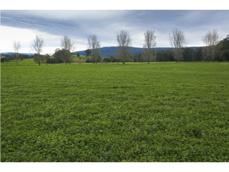 1295 Chichester Dam Road, Dungog NSW 2420