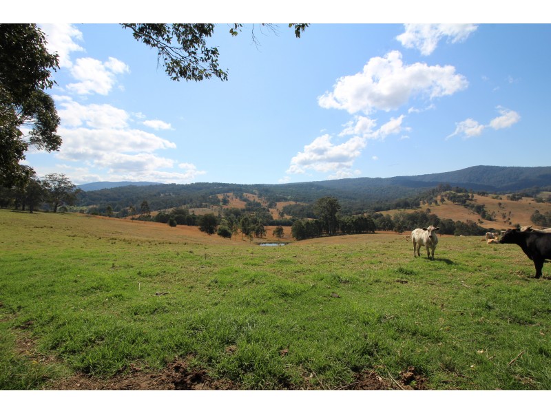 1524 Chichester Dam Road, Dungog NSW 2420