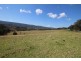 1524 Chichester Dam Road, Dungog NSW 2420