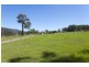 2483 Glendonbrook Road, Gresford NSW 2311