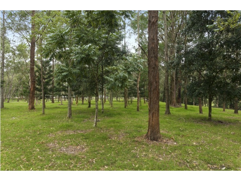 116 Washpool Road, Booral NSW 2425