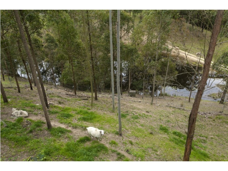 116 Washpool Road, Booral NSW 2425