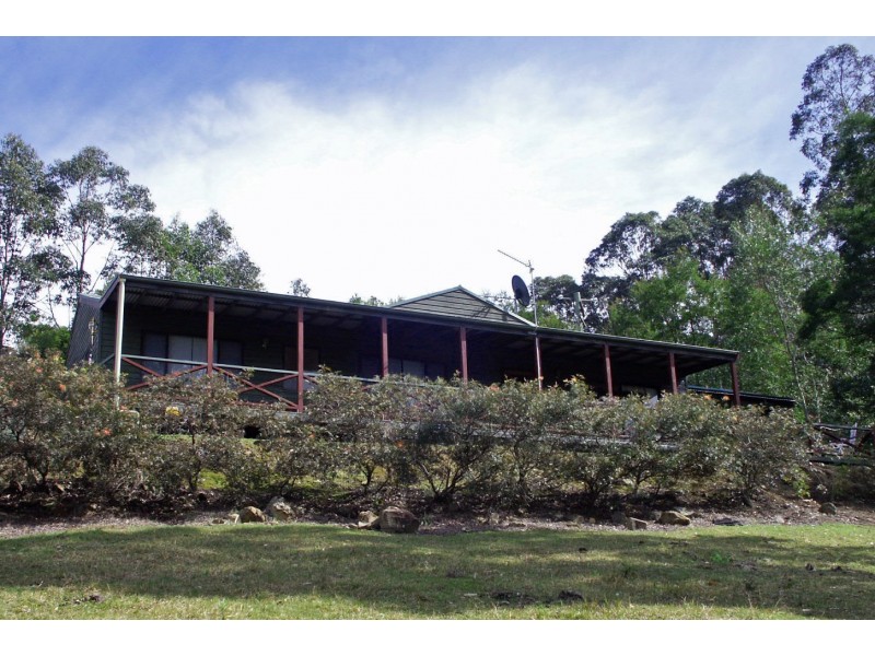 Lot 4,1953 Chichester Dam Road, Dungog NSW 2420