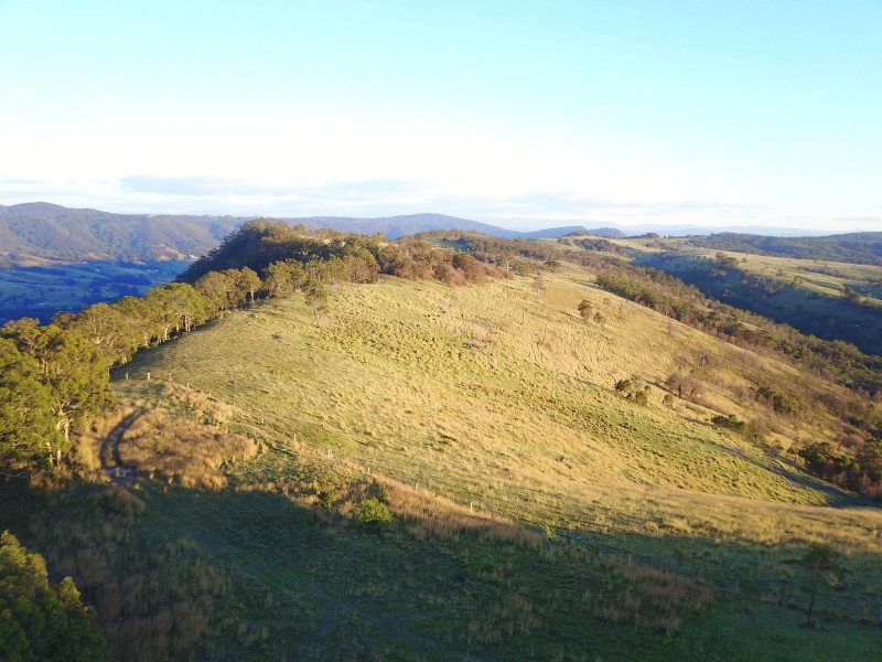 1394 Webbers Creek Road, Paterson NSW 2421