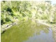 116 Allyn River Road, East Gresford NSW 2311
