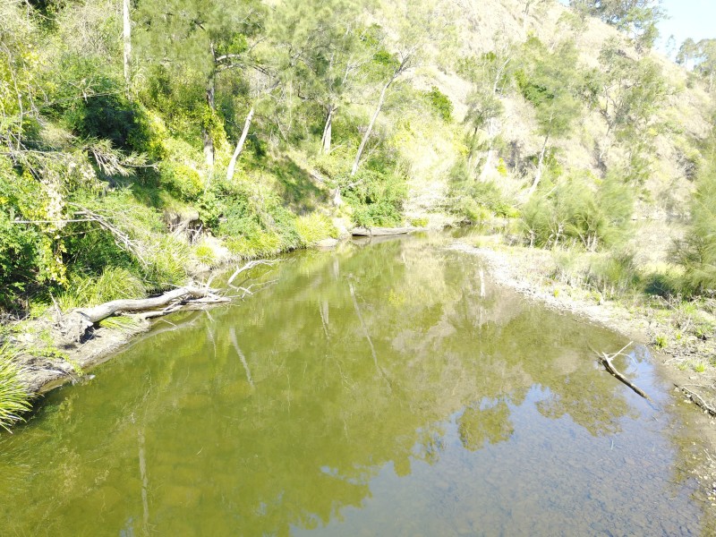 116 Allyn River Road, East Gresford NSW 2311