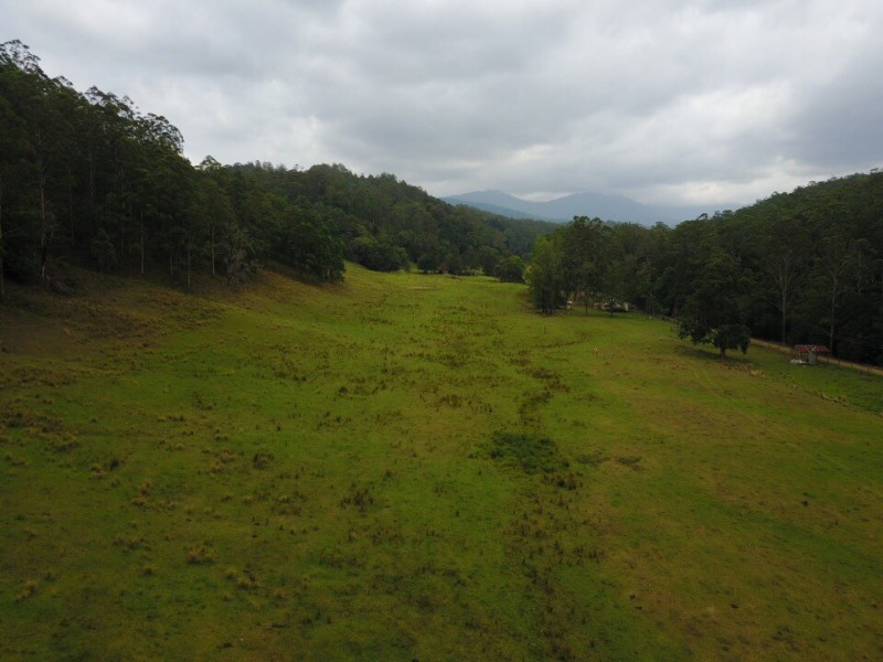 Lot 51, 3741 Allyn River Road, East Gresford NSW 2311