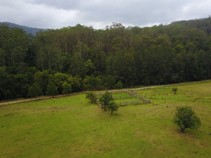 Lot 51, 3741 Allyn River Road, East Gresford NSW 2311