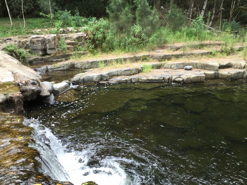 Lot 51, 3741 Allyn River Road, East Gresford NSW 2311