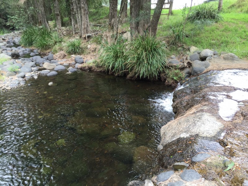 Lot 51, 3741 Allyn River Road, East Gresford NSW 2311