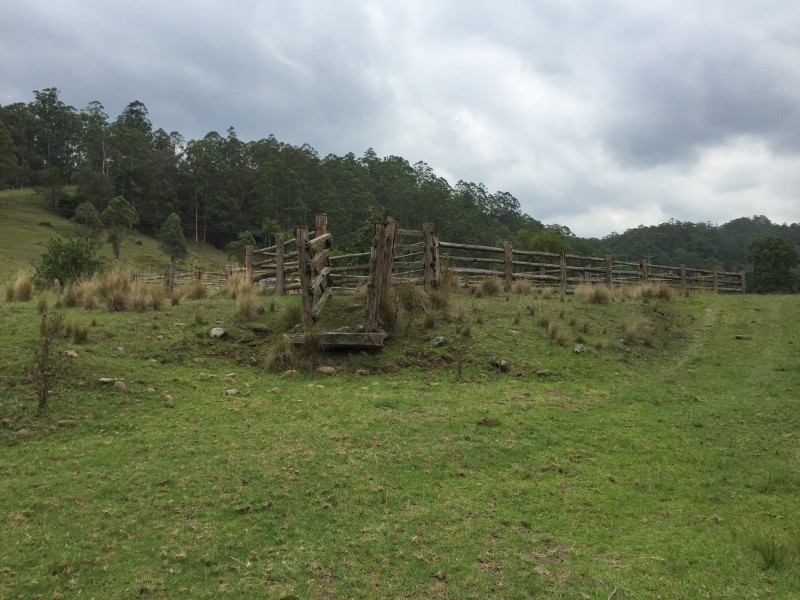 Lot 51, 3741 Allyn River Road, East Gresford NSW 2311