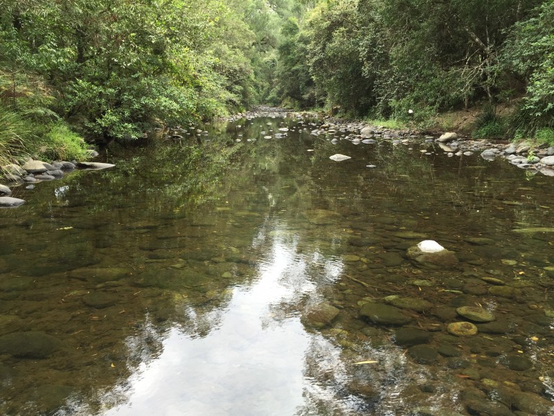 Lot 51, 3741 Allyn River Road, East Gresford NSW 2311