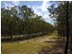 804 Limeburners Creek Road, Clarence Town NSW 2321