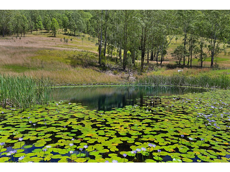 367 Moores Road Monkerai Via, Dungog NSW 2420