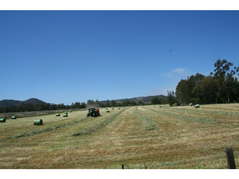 943 GLEN WILLIAM ROAD, GLEN WILLIAM VIA, Clarence Town NSW 2321