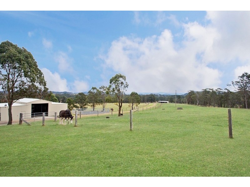 943 GLEN WILLIAM ROAD, GLEN WILLIAM VIA, Clarence Town NSW 2321