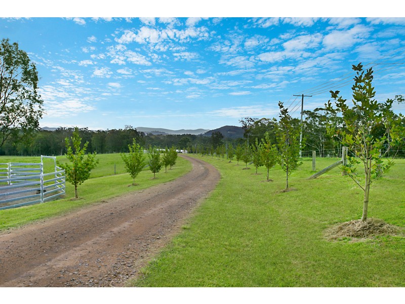943 GLEN WILLIAM ROAD, GLEN WILLIAM VIA, Clarence Town NSW 2321
