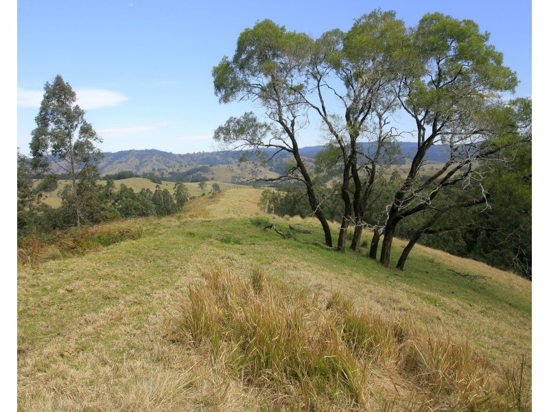 3296 Allyn River Road, Eccleston Via, East Gresford NSW 2311
