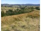 3296 Allyn River Road, Eccleston Via, East Gresford NSW 2311
