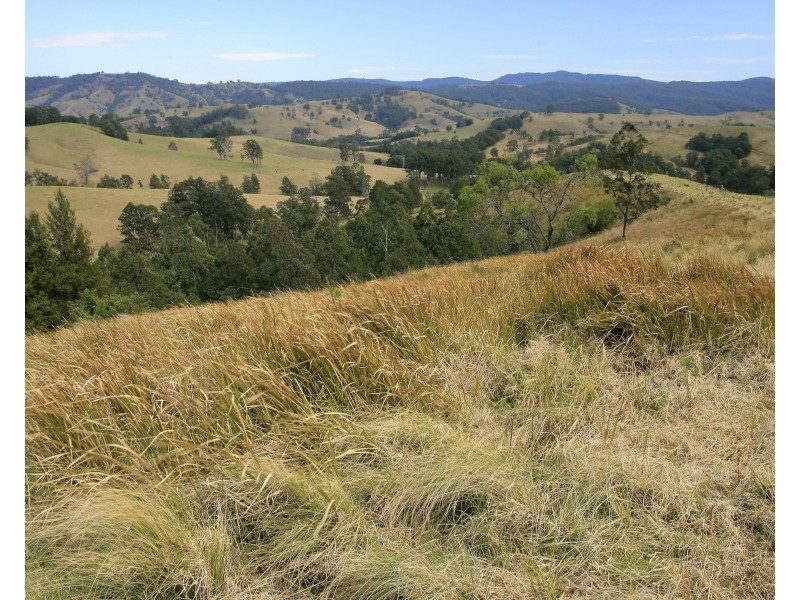 3296 Allyn River Road, Eccleston Via, East Gresford NSW 2311