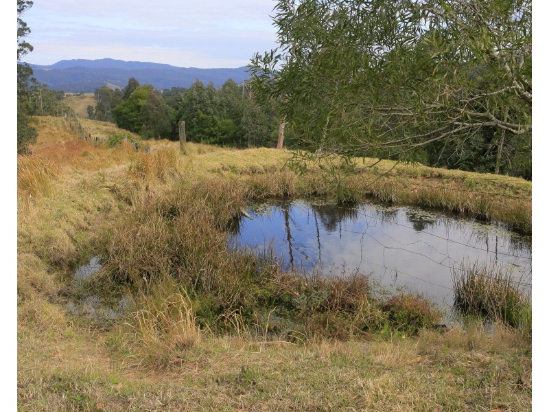 3296 Allyn River Road, Eccleston Via, East Gresford NSW 2311