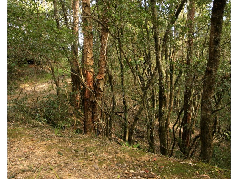 3296 Allyn River Road, Eccleston Via, East Gresford NSW 2311