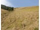 3296 Allyn River Road, Eccleston Via, East Gresford NSW 2311