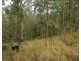 3296 Allyn River Road, Eccleston Via, East Gresford NSW 2311