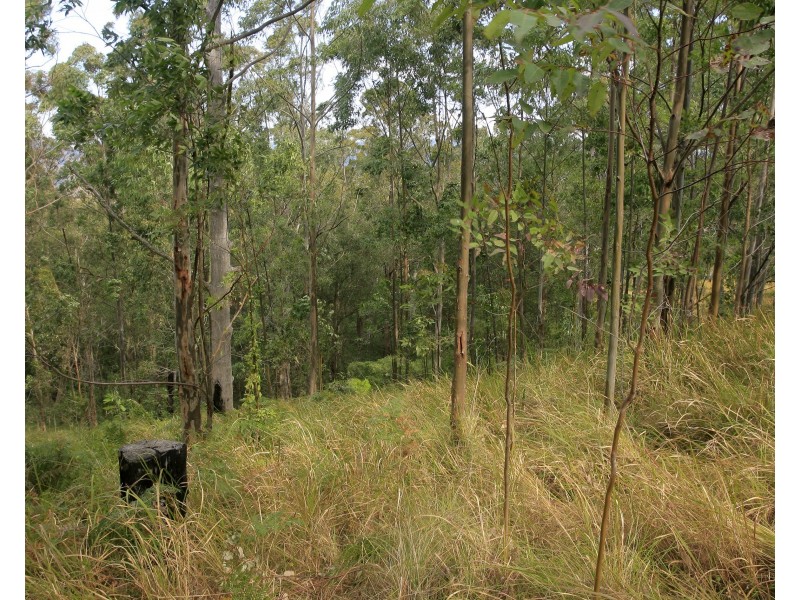 3296 Allyn River Road, Eccleston Via, East Gresford NSW 2311