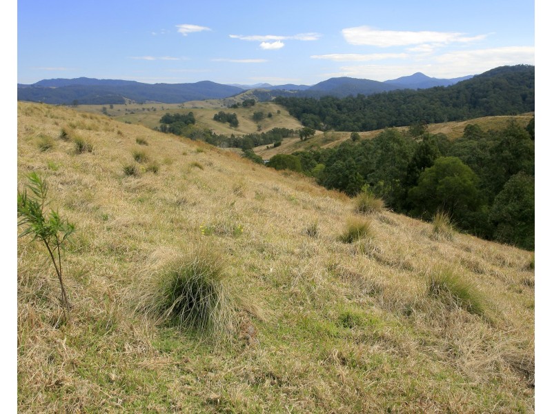 3296 Allyn River Road, Eccleston Via, East Gresford NSW 2311
