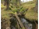 3296 Allyn River Road, Eccleston Via, East Gresford NSW 2311