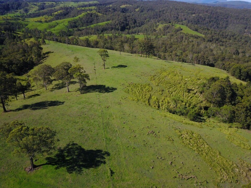 164 Germons Road, Flat Tops Via, Dungog NSW 2420