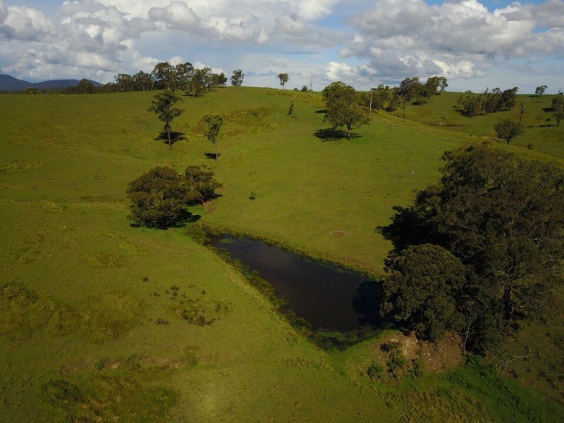 164 Germons Road, Flat Tops Via, Dungog NSW 2420