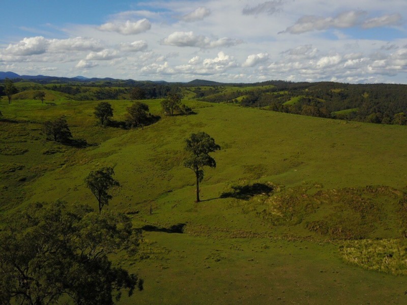 164 Germons Road, Flat Tops Via, Dungog NSW 2420