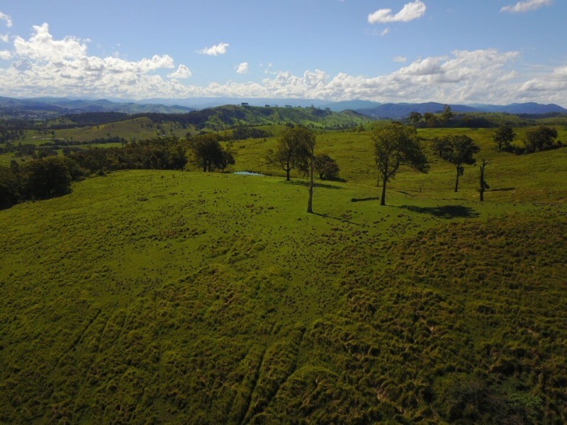 164 Germons Road, Flat Tops Via, Dungog NSW 2420