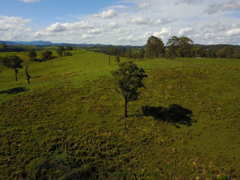 164 Germons Road, Flat Tops Via, Dungog NSW 2420